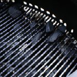 Jak uklidit gril na dřevěné uhlí: Rady pro snadné čištění